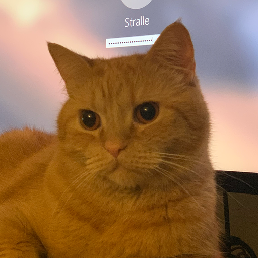 Ex earum earum cumque ut.